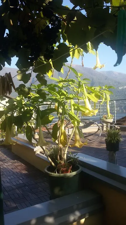 Bellavita Fossati Apartment Carate Urio